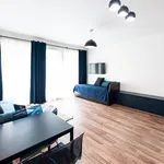 Pronajměte si 1 ložnic/e byt o rozloze 36 m² v Prague