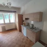 Rent 1 bedroom apartment in Chomutov