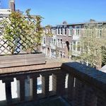 Rent 2 bedroom apartment of 105 m² in Den Haag