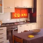 Rent 2 bedroom house of 60 m² in Marsala