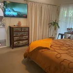 Rent 1 bedroom house in Bonogin