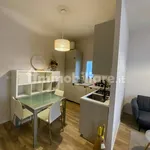 Rent 1 bedroom apartment of 46 m² in Bologna