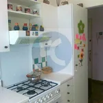 Rent 1 bedroom apartment of 40 m² in Milan