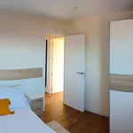 Rent 5 bedroom apartment in Gijón