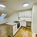 Rent 3 bedroom apartment of 79 m² in Trhový Štěpánov