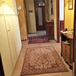 Rent 1 bedroom apartment of 15 m² in Novara