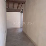 Affitto 3 camera appartamento di 97 m² in Modena