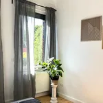 Rent 2 bedroom apartment of 62 m² in Krefeld