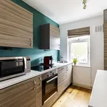 Rent 1 bedroom apartment in london