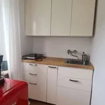 Rent 1 bedroom apartment of 29 m² in munich