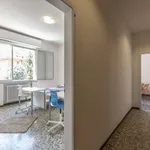 Rent a room in bologna