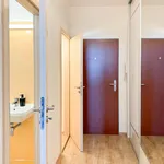 Rent 1 bedroom apartment of 33 m² in Praha