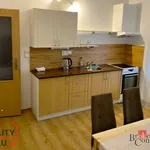 Rent 1 bedroom apartment in Hradec Králové