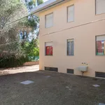 Rent 1 bedroom apartment of 60 m² in Follonica