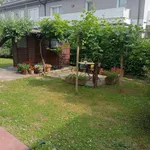 Rent 3 bedroom apartment of 14 m² in padova