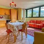 Rent 2 bedroom apartment of 55 m² in Bardonecchia