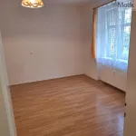 Rent 1 bedroom apartment of 45 m² in Teplice