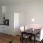 Rent 2 bedroom apartment of 60 m² in Berlin