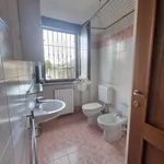 Rent 2 bedroom apartment of 60 m² in Gassino Torinese