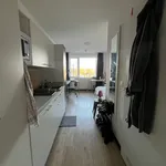 Miete 1 Schlafzimmer wohnung von 17 m² in Bremen