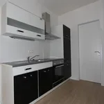 Rent 2 bedroom apartment of 55 m² in Nuremberg