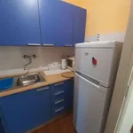 Rent 2 bedroom apartment of 50 m² in Turin