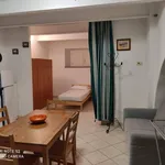 Rent 1 bedroom apartment of 35 m² in Collesalvetti