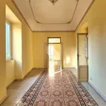 Rent 4 bedroom apartment of 110 m² in Palermo