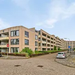 Huur 3 slaapkamer appartement van 77 m² in Hulsdonk