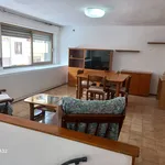 Rent 2 bedroom apartment of 62 m² in Cagliari