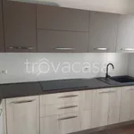 Rent 5 bedroom apartment of 140 m² in Bologna