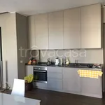 Rent 1 bedroom apartment of 90 m² in Torino