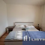 Rent 2 bedroom apartment of 50 m² in Třinec