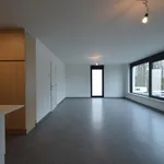 Huur 1 slaapkamer appartement van 143 m² in Diepenbeek