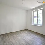 Rent 2 bedroom apartment of 50 m² in Ústí nad Labem