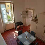 Rent 1 bedroom apartment of 50 m² in florence