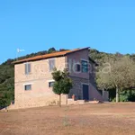 Affitto 2 camera casa di 40 m² in Castiglione della Pescaia