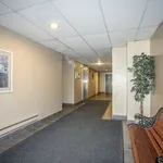 Rent 1 bedroom apartment in Windsor, ON