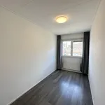 Huur 3 slaapkamer appartement van 75 m² in Delfshaven