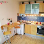 Rent 2 bedroom apartment of 38 m² in Praha