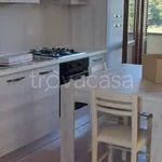 Rent 2 bedroom apartment of 45 m² in Garlasco