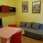 Rent 2 bedroom apartment of 50 m² in Turin