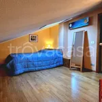 Rent 2 bedroom apartment of 50 m² in Padova