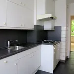 Rent 3 bedroom apartment of 6 m² in Maastricht