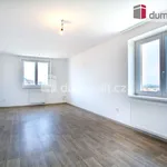 Rent 3 bedroom apartment of 67 m² in Lhenice