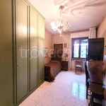 Rent 5 bedroom apartment of 160 m² in Pescara