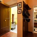 Rent 3 bedroom apartment of 110 m² in Foggia