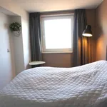 Huur 1 slaapkamer appartement van 68 m² in The Hague