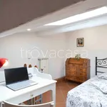 Rent 4 bedroom apartment of 53 m² in Firenze