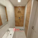 Rent 2 bedroom apartment in Brno